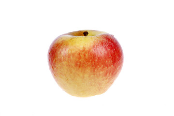 The red apple, close-up