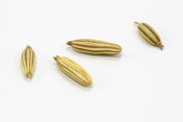 Dried Cumin Seeds