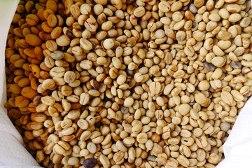 Coffee beans for backgrounds or textures