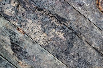 Old Wood texture background