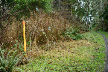 buried natural gas pipline crossing the Fort to Sea hiking trail in Northwest Oregon