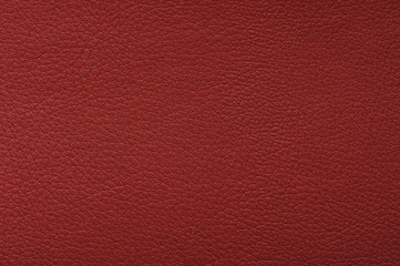 Fototapeta premium Leather texture