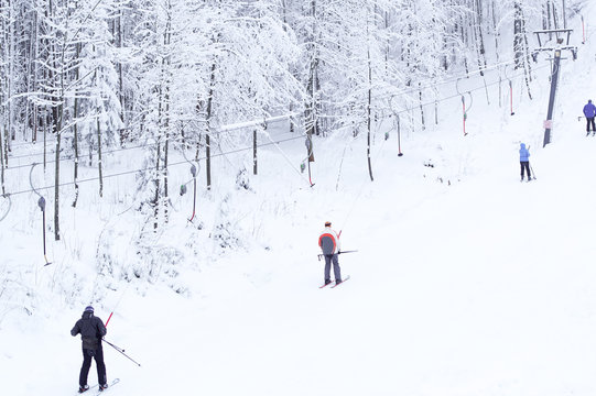 Skiers in the winter wood