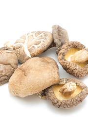 干し椎茸　白背景