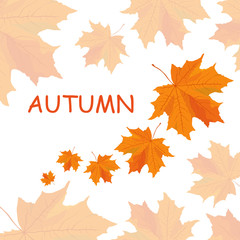 autumn background