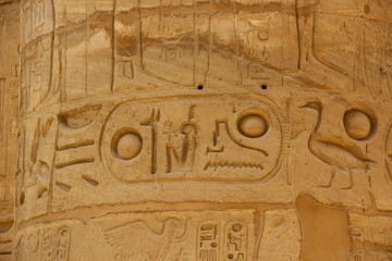 Ancient Egyptian hieroglyphs carved on the stone. The name of the Pharaoh in the cartouche.