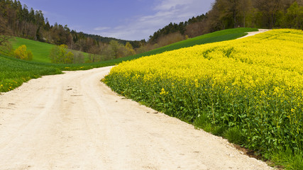 Dirt Road