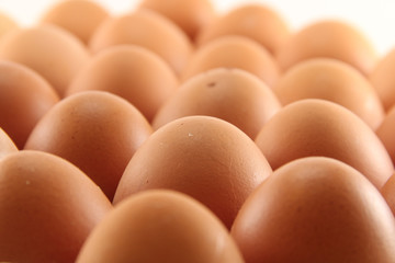 Closeup of eggs on tray, isolated on white
