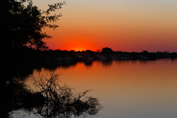Fototapeta premium African sunset on Zambezi