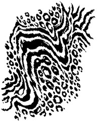 호랑이 줄무늬의 표범 얼룩무늬의 흐름