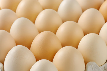 fresh eggs in a tray