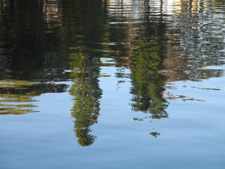 grüne Idylle am Wasser