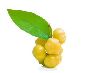 star gooseberry on white background