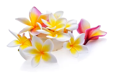 Papier Peint photo autocollant Frangipanier frangipani flower isolated white background