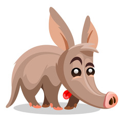 Aardvark vector illustration. A cartoon illustration of a aardvark.