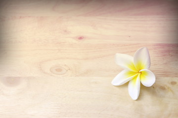 Fototapeta na wymiar flower on wooden vintage background