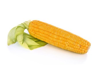corn isolated on a white background