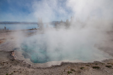 Yellowstone national park