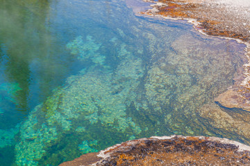 Yellowstone national park