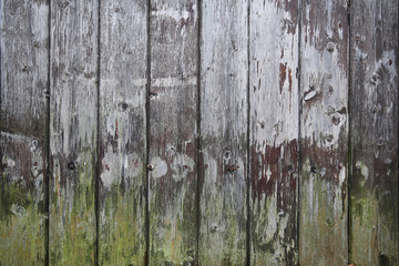 Natural Wood Texture