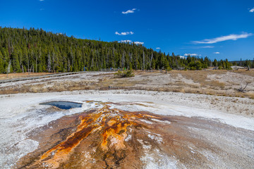 Yellowstone national park