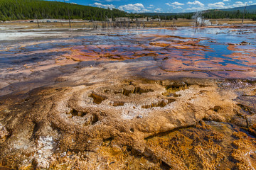 Yellowstone national park