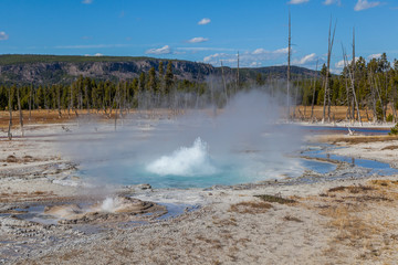 Yellowstone national park