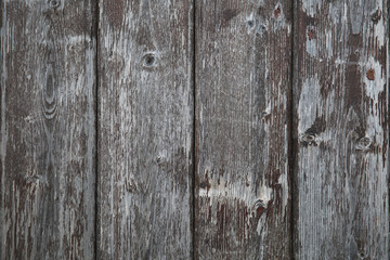 Natural Wood Texture
