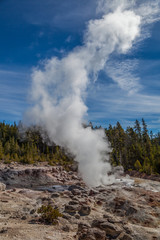Yellowstone national park