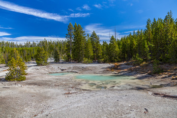 Yellowstone national park