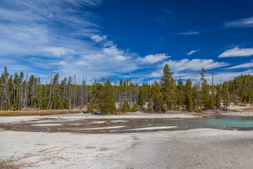 Yellowstone national park