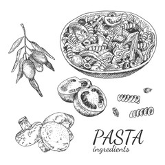 Ink hand drawn pasta ingredient set