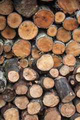 Chopped wood stacked as a background