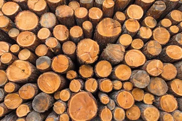 Möbelaufkleber Trunks stacked wood © michelangeloop