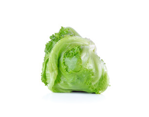 Green Iceberg lettuce on White Background