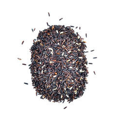 rice berry on white background