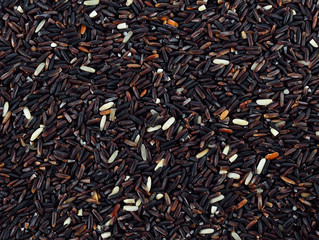 rice berry on white background