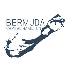 Bermuda map geometric background texture