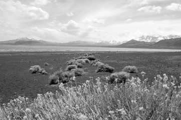 Mono lake shore with snow mountains in California