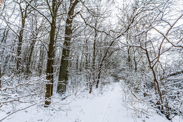 winter in mecklenburg