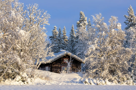 Fototapeta Cabin in winter forest