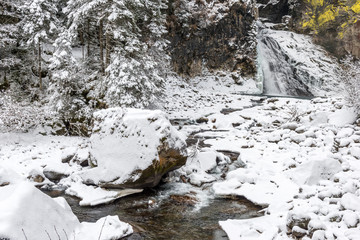 Bosco  in inverno con coltre di neve bianca e cascata