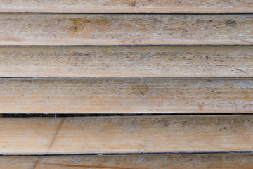 Obraz premium Bamboo pattern