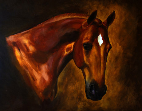 Classical horse portrait painting