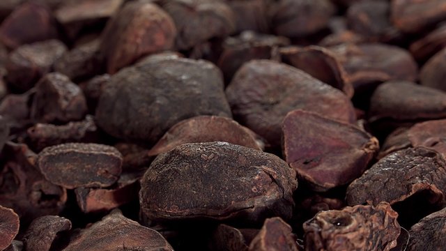 Rotating Kola Nuts as not loopable 4K UHD footage