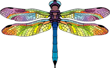 bright stylized dragonfly