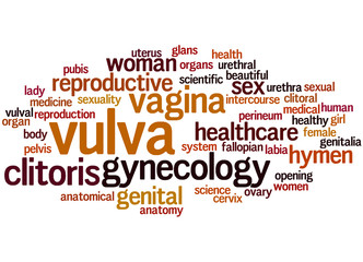 Vulva, word cloud concept 7 - obrazy, fototapety, plakaty