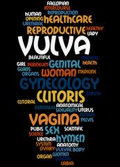 Vulva, word cloud concept 8