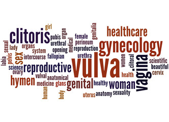 Vulva, word cloud concept