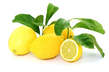 Zitrone Blätter Fruchtfleisch